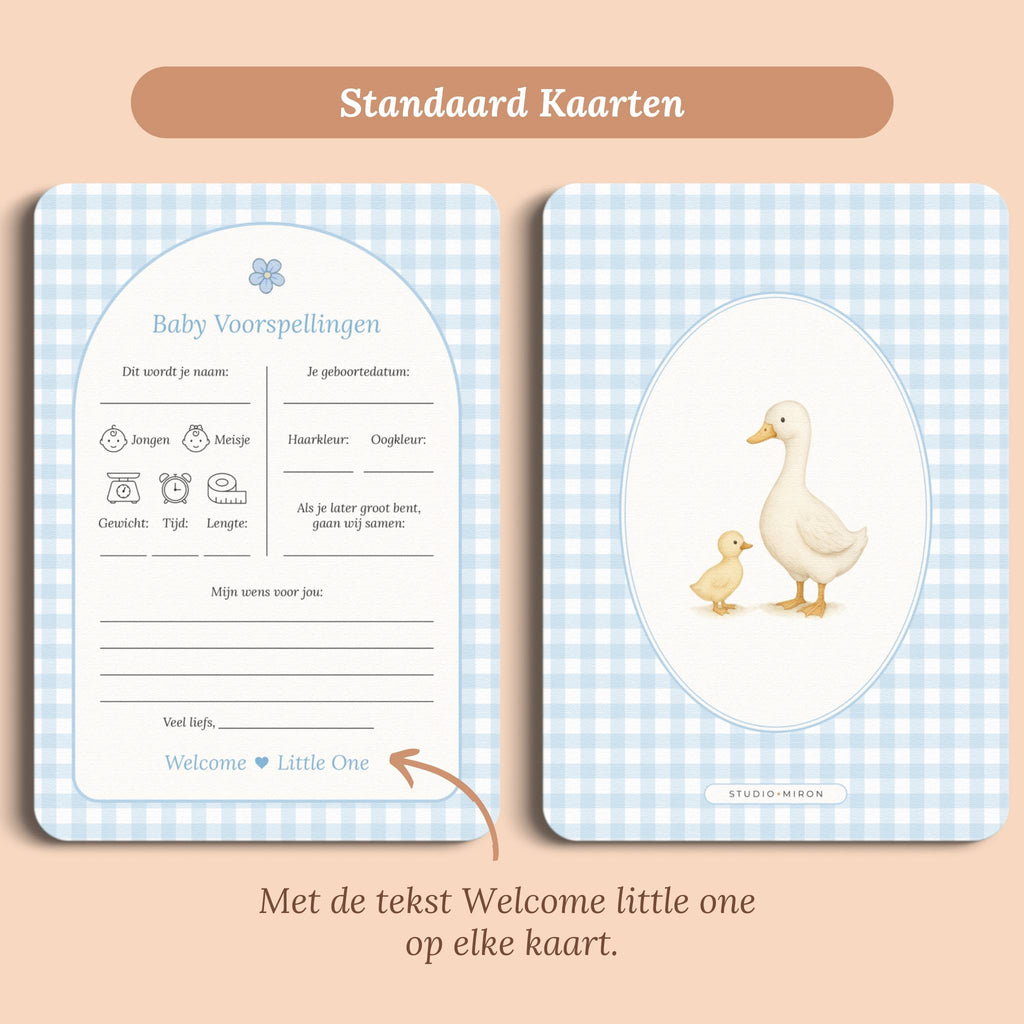 Babyshower invulkaarten baby voorspellingen gingham blauw standaard voor en achter Studio Miron