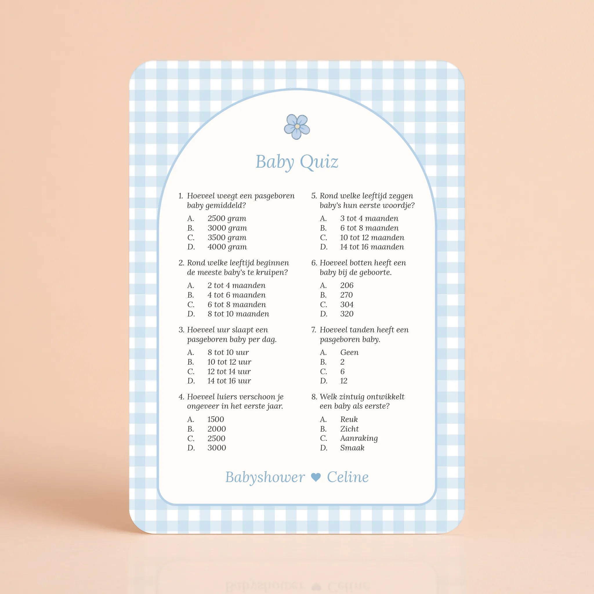 Baby Quiz | Gingham Blauw