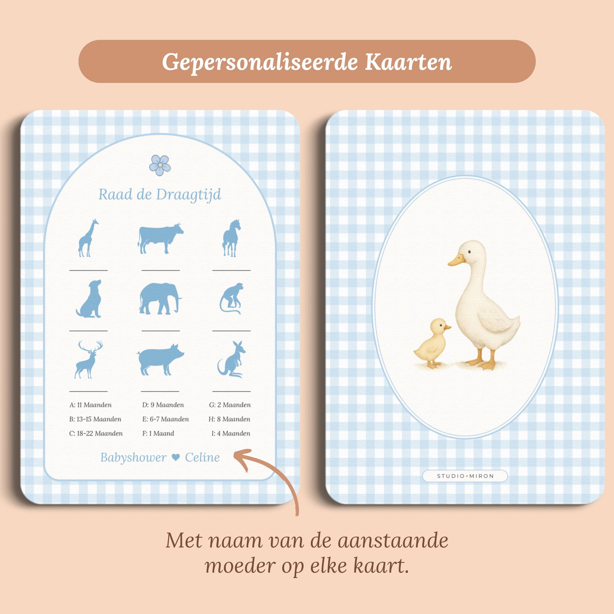 Raad de Draagtijd | Gingham Blauw