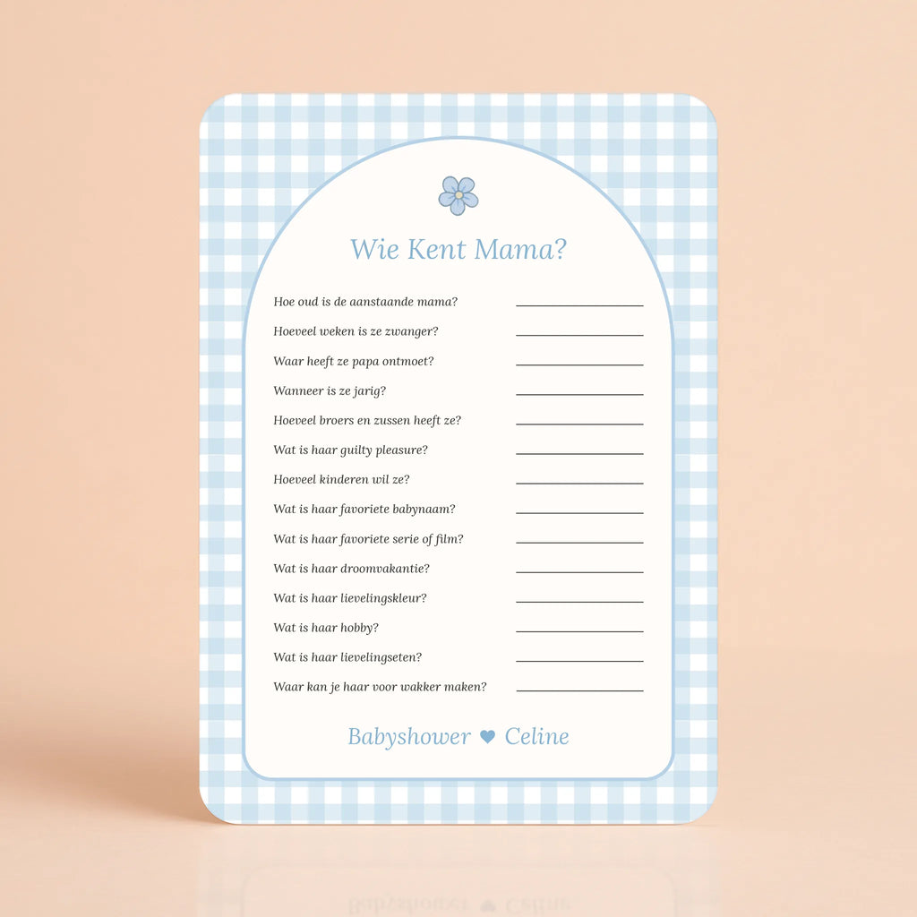 Spellenpakket 2 | Gingham Blauw